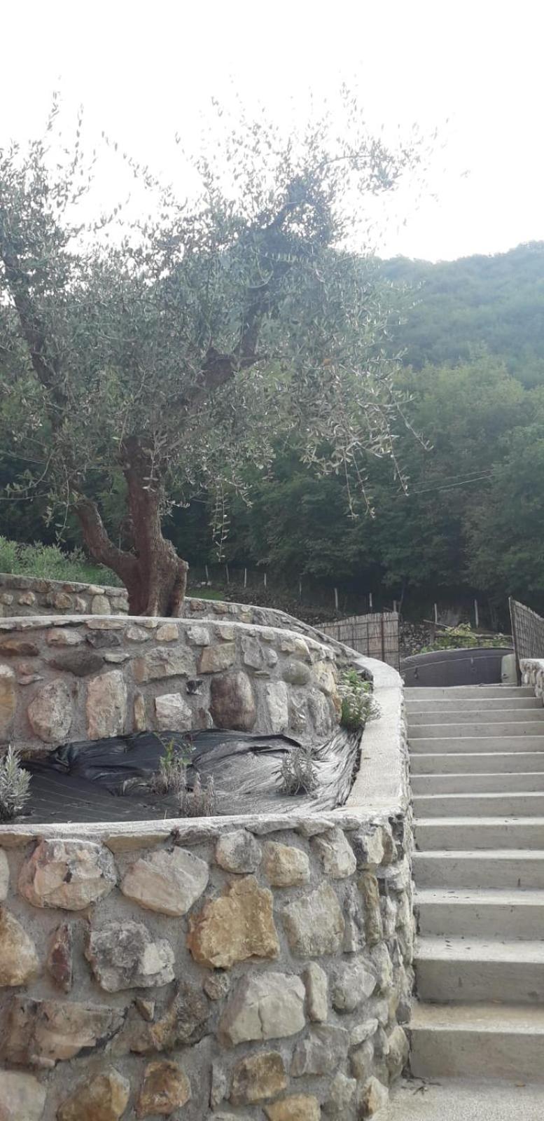 Agriturismo Cascina Lert مارون المظهر الخارجي الصورة